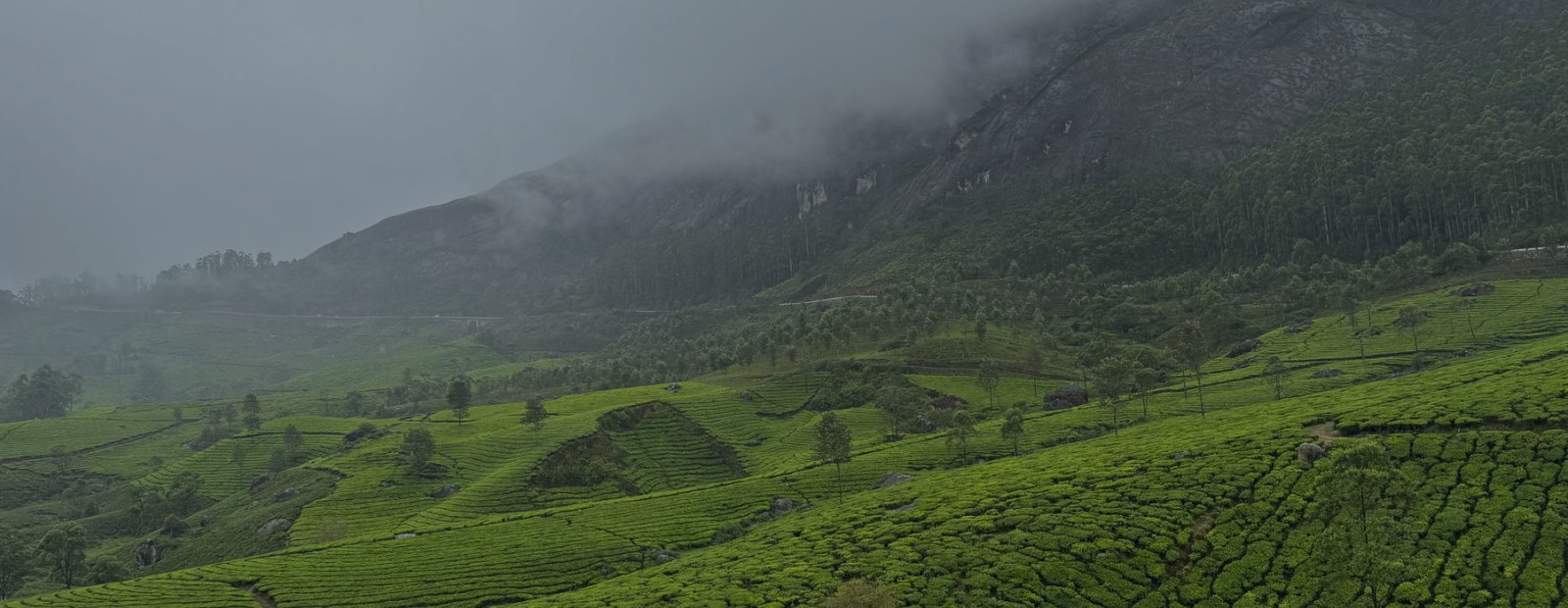 ভ্রমণ