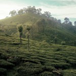 ভ্রমণ